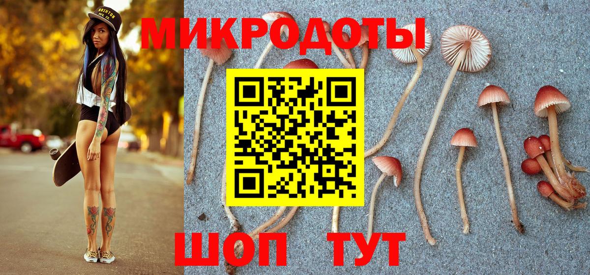 Галлюциногенные грибы Psilocybine cubensis  Вход с VPN  Вязьма  Псилоцибиновые грибы мицелий 